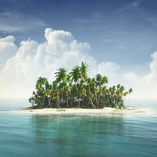 The Island